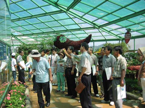 2005 울진 세계친환경농업엑스포0