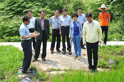 가야 친환경인증쌀 생산단지 현장확인0