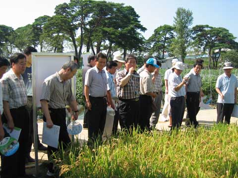 2005 울진 세계친환경농업엑스포