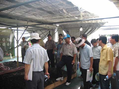 2005 울진 세계친환경농업엑스포