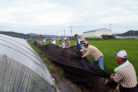 적중면 돌풍피해지역 복구지원