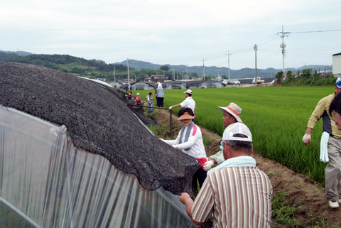 적중면 돌풍피해지역 복구지원