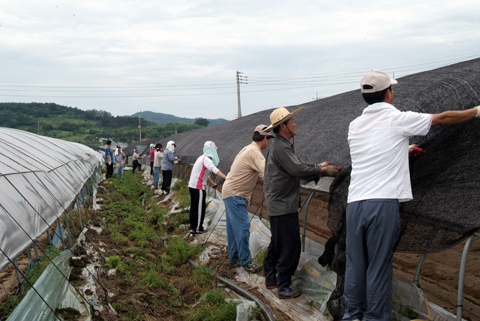 적중면 돌풍피해지역 복구지원