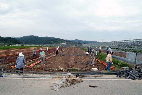 적중면 돌풍피해지역 복구지원