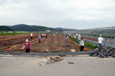 적중면 돌풍피해지역 복구지원
