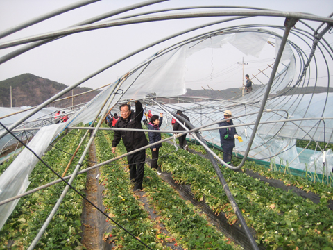 쌍책 돌풍피해지역 ...