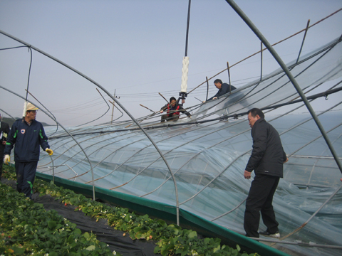 쌍책 돌풍피해지역 ...