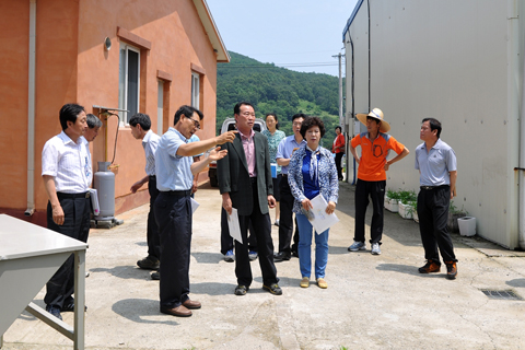 가야 친환경인증쌀 ...