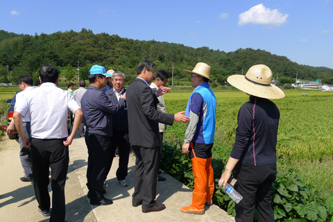 12.9.20 삼가면 태...